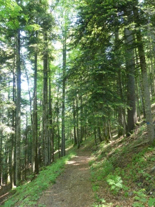 ste-croix-saut-de-l-eau-ste-croix-114