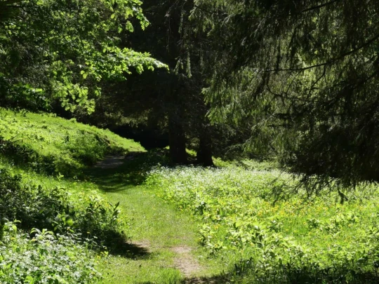 ste-croix-saut-de-l-eau-ste-croix-134