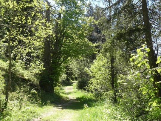 ste-croix-saut-de-l-eau-ste-croix-158