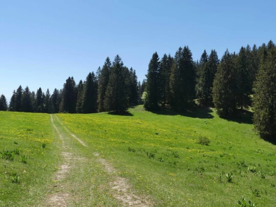 ste-croix-saut-de-l-eau-ste-croix-160