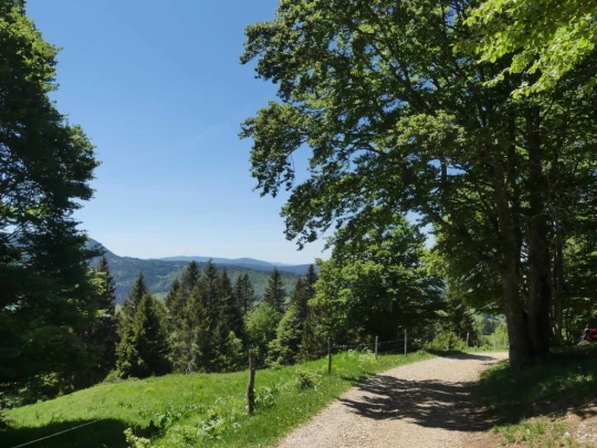 ste-croix-saut-de-l-eau-ste-croix-171