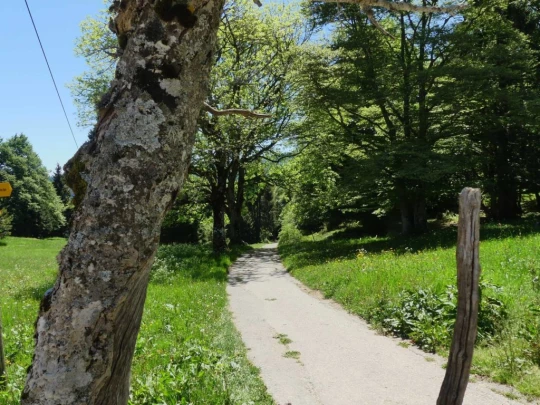 ste-croix-saut-de-l-eau-ste-croix-176