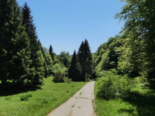 ste-croix-saut-de-l-eau-ste-croix-177