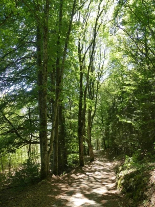 ste-croix-saut-de-l-eau-ste-croix-178