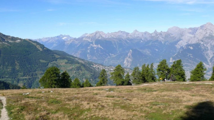 thyon-2000-haute-nendaz-105