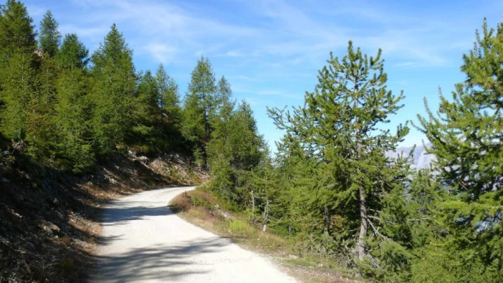 thyon-2000-haute-nendaz-106