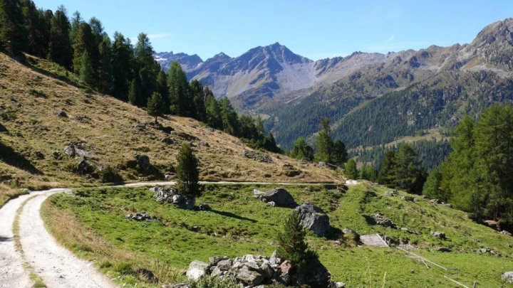 thyon-2000-haute-nendaz-117