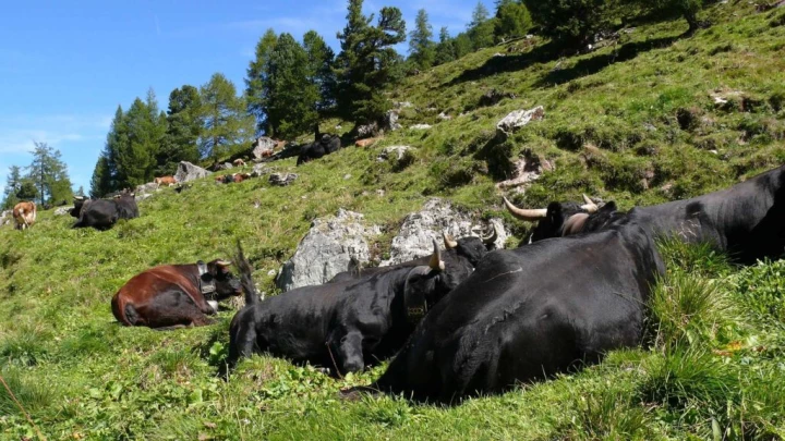 thyon-2000-haute-nendaz-123