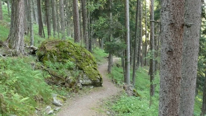 thyon-2000-haute-nendaz-133