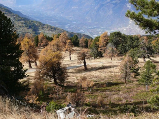 tracouet-haute-nendaz-105