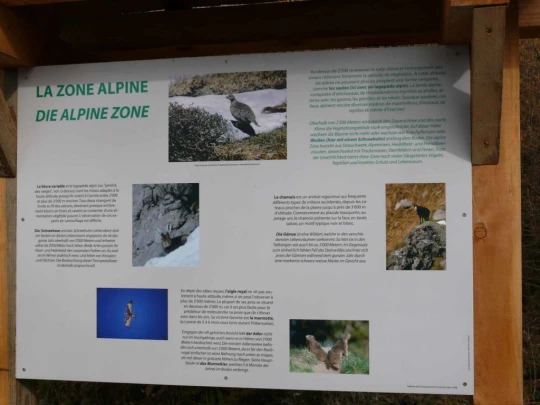 tracouet-haute-nendaz-110