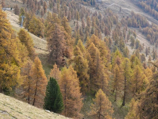 tracouet-haute-nendaz-112