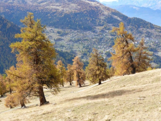 tracouet-haute-nendaz-116