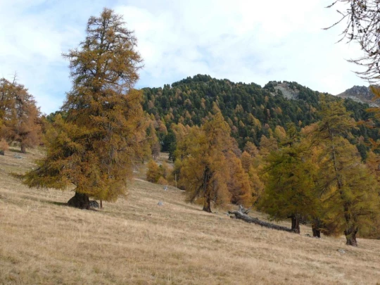 tracouet-haute-nendaz-123