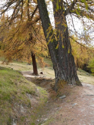 tracouet-haute-nendaz-127