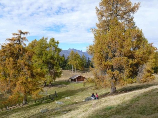 tracouet-haute-nendaz-128