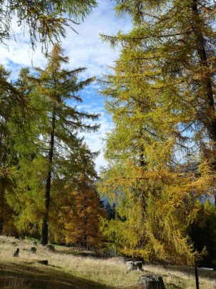 tracouet-haute-nendaz-134