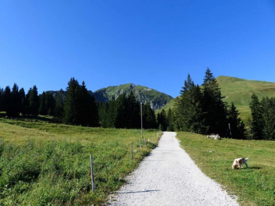 underi-gantrischhutte-weissenburg-103