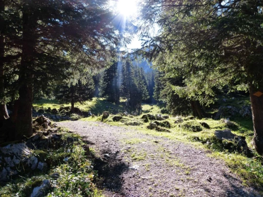 underi-gantrischhutte-weissenburg-112