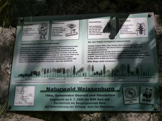 underi-gantrischhutte-weissenburg-199