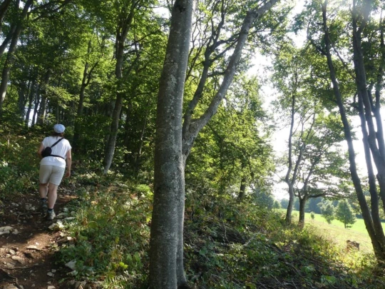 untergrenchenberg-oberdorf-107