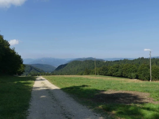 untergrenchenberg-oberdorf-108