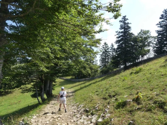 untergrenchenberg-oberdorf-114