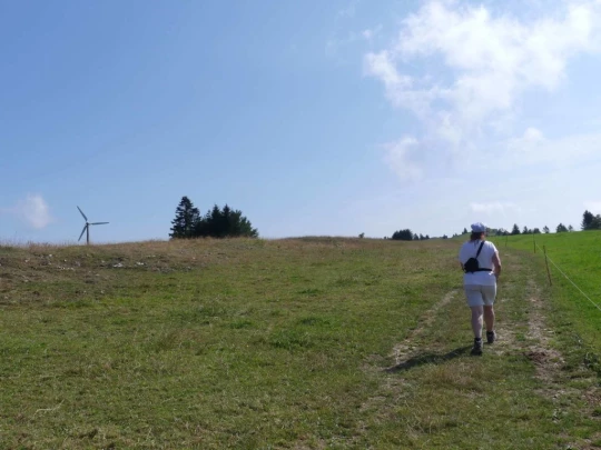 untergrenchenberg-oberdorf-118