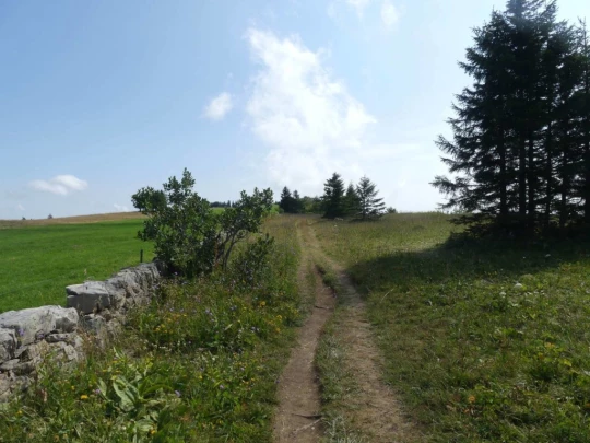 untergrenchenberg-oberdorf-121