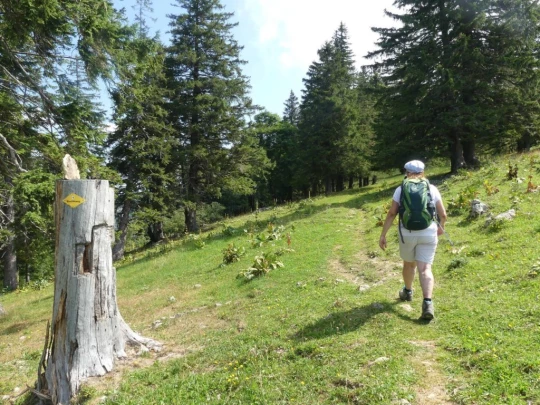 untergrenchenberg-oberdorf-131