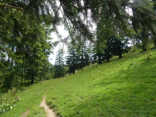 untergrenchenberg-oberdorf-133