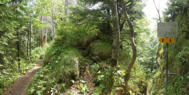 untergrenchenberg-oberdorf-138