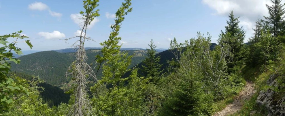 untergrenchenberg-oberdorf-139