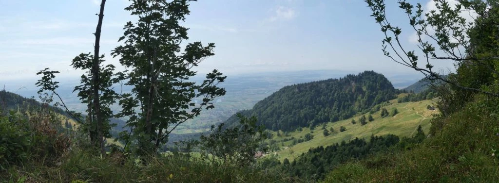 untergrenchenberg-oberdorf-147