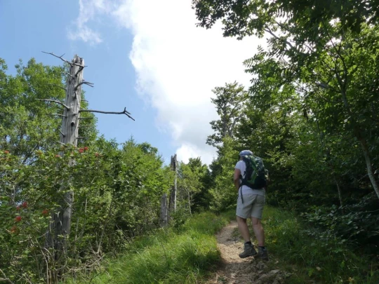 untergrenchenberg-oberdorf-152