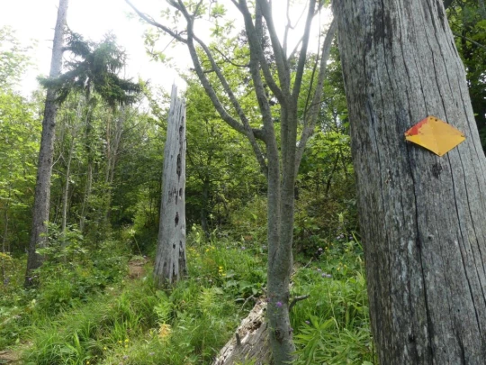 untergrenchenberg-oberdorf-154