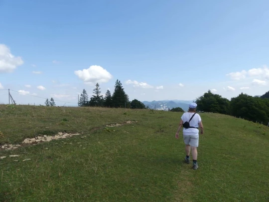 untergrenchenberg-oberdorf-168