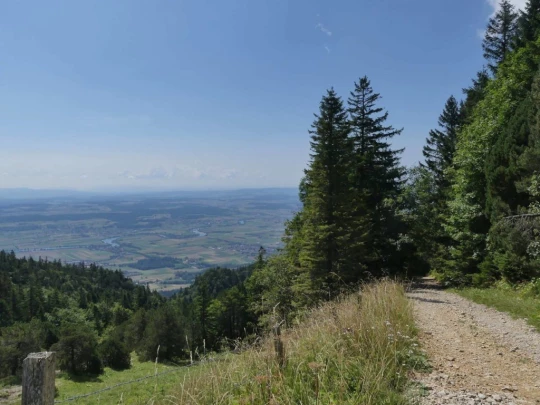 untergrenchenberg-oberdorf-174