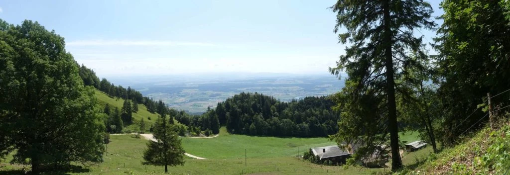 untergrenchenberg-oberdorf-175