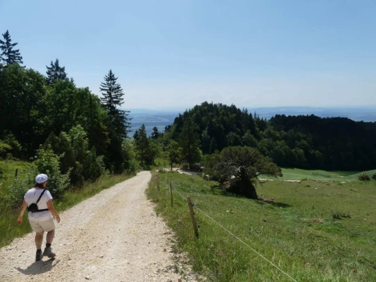 untergrenchenberg-oberdorf-178