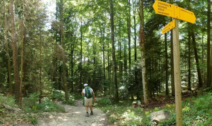 untergrenchenberg-oberdorf-186