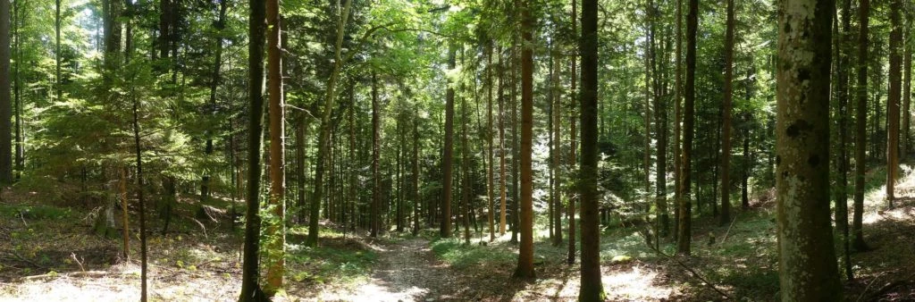 untergrenchenberg-oberdorf-187