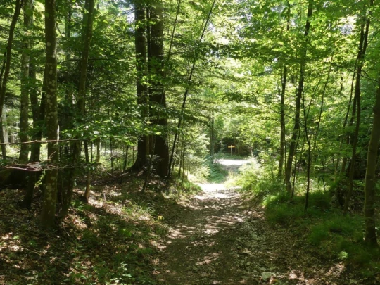 untergrenchenberg-oberdorf-188