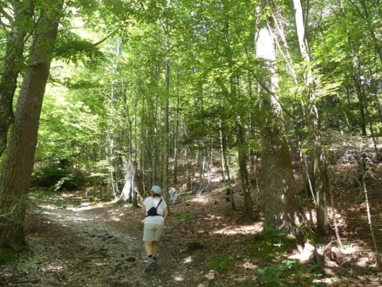 untergrenchenberg-oberdorf-194
