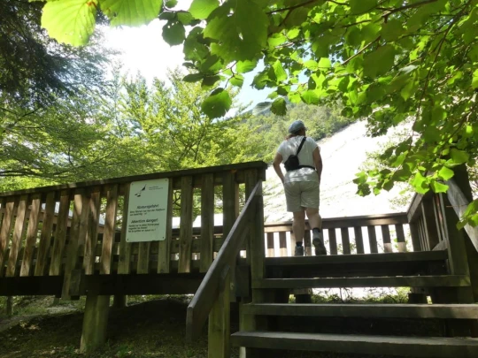 untergrenchenberg-oberdorf-195