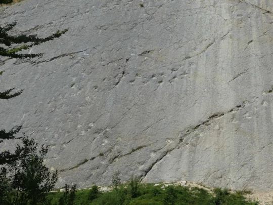 untergrenchenberg-oberdorf-198