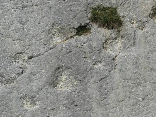 untergrenchenberg-oberdorf-199