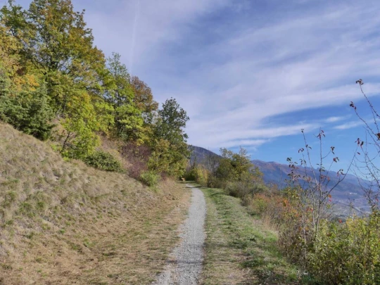 venthone-miege-sierre-106