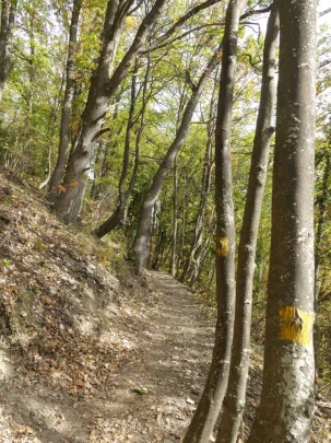 venthone-miege-sierre-116