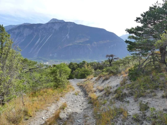 venthone-miege-sierre-158